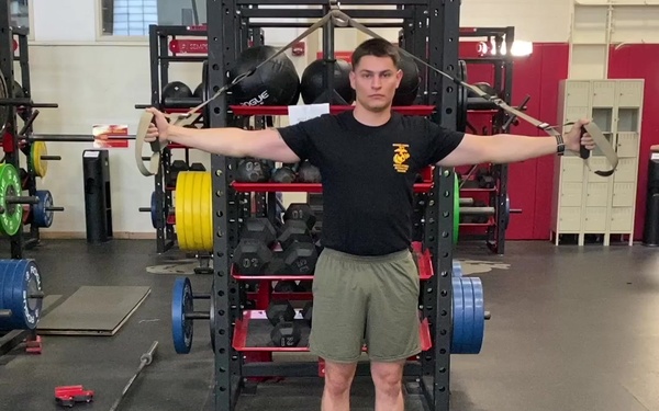 TRX Split Squat with T Deltoid Fly