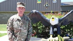 101st Airborne Division (Air Assault) Operation Pictures & Patches