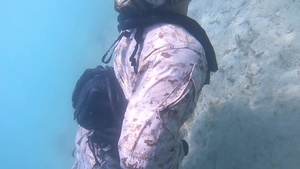 Diver Propulsion Vehicle Training