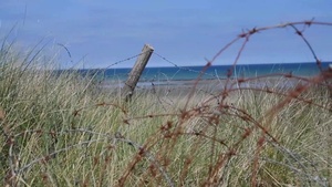 DDay 2020