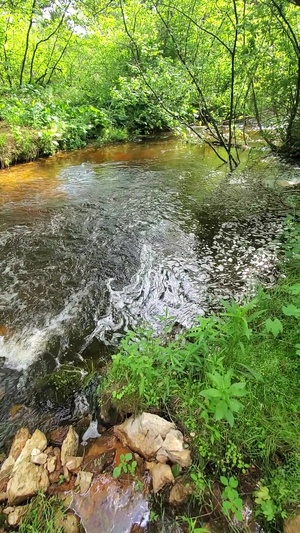 Suukjak Sep Creek at Fort McCoy's Pine View Recreation Area