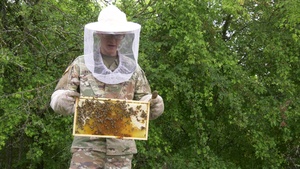 Know Your Mil: U.S. Army Soldier picks up beekeeping hobby during COVID-19
