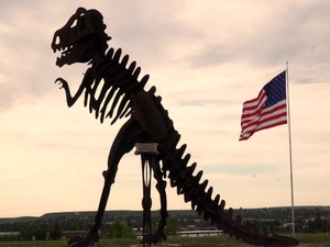 Flag Day 2020