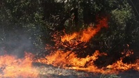 Pendleton, SoCal firefighters contain three blazes on base