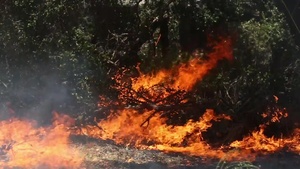 Pendleton, SoCal firefighters contain three blazes on base