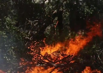 Pendleton, SoCal firefighters contain three blazes on base