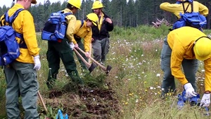 Wildland Fire Training BRoll