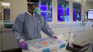 Epidemiology Lab Broll_3