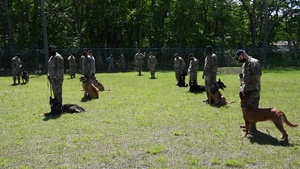 MWD Elvis Retirement