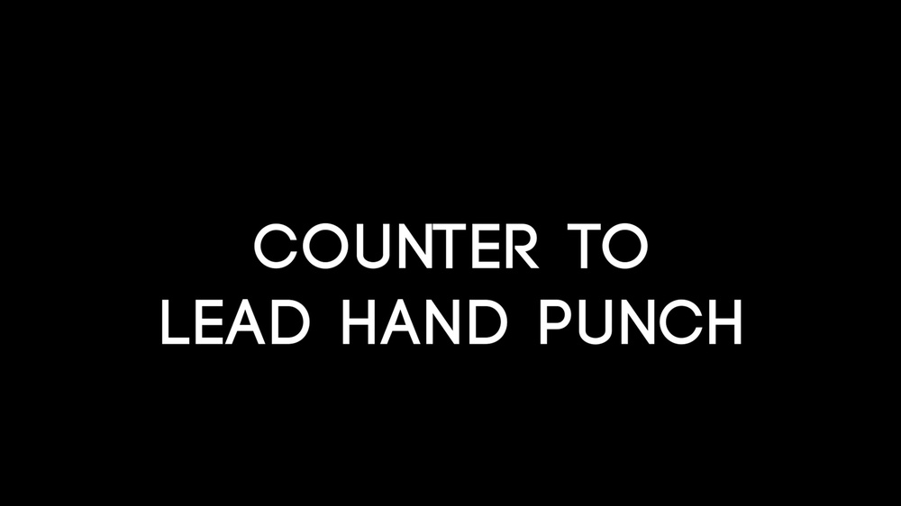 DVIDS Video Counter to Lead Hand Punch