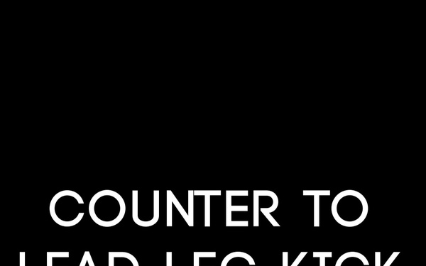 Counter to Lead Leg Kick