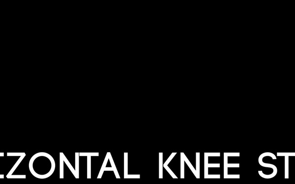 Horizontal Knee Strike