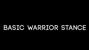 Basic Warrior Stance