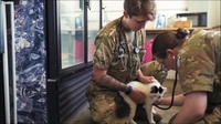 Army Reserve Life:  Stay-at-home Mom & Animal Care Specialist