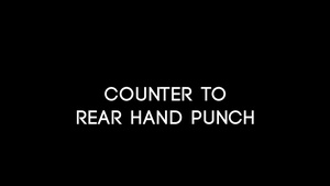 Counter to Rear Hand Punch