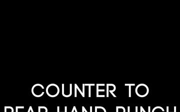 Counter to Rear Hand Punch