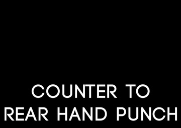 Counter to Rear Hand Punch