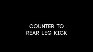 Counter to Rear Leg Kick