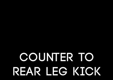 Counter to Rear Leg Kick