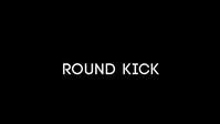 Round Kick