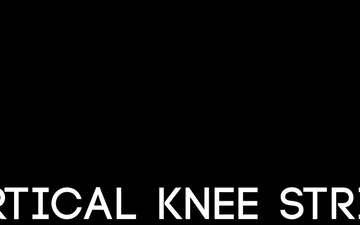 Vertical Knee Strike