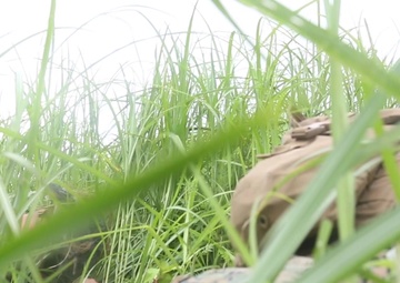 U.S. Marines with 1st Battalion, 6th Marine Regiment conduct platoon attack ranges during Fuji Viper 20.4