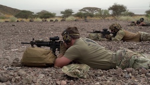 Task Force Guardian soldiers participate in M4 range day