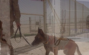 Military Working Dogs/Handlers at AUAB