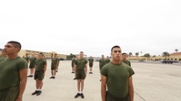 Fox Company Platoon Introduction