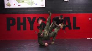 Counter to Round Kick