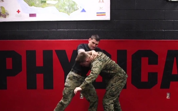 Counter to Round Punch