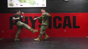 Push Kick