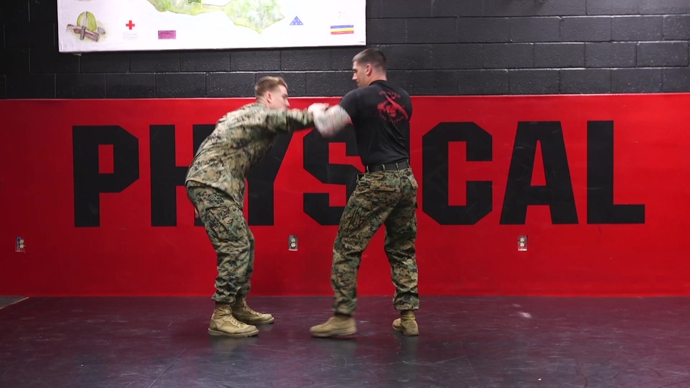 DVIDS Video Enhanced Pain Compliance from a Reverse Wristlock