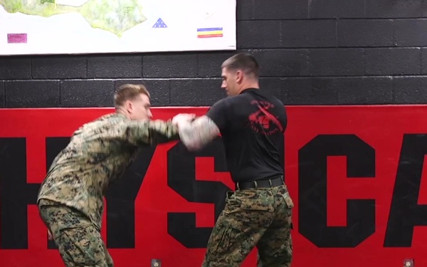 Enhanced Pain Compliance from a Reverse Wristlock