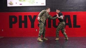 Enhanced Pain Compliance from a Wristlock Come Along
