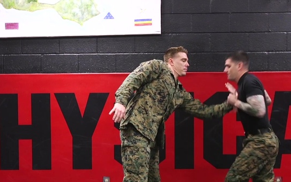 Enhanced Pain Compliance from a Wristlock Come Along