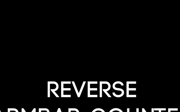 Reverse Armbar Counter