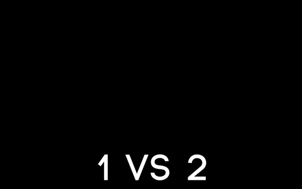 Bayonet Techniques 1 Vs 2