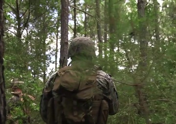 2d ANGLICO Air Assualt