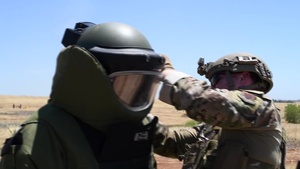 EOD Montage