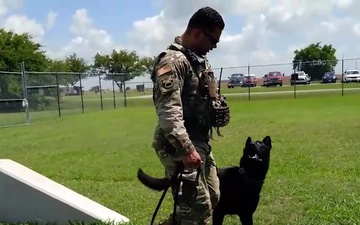 Sheppard Speaks: 82nd Security Forces MWD