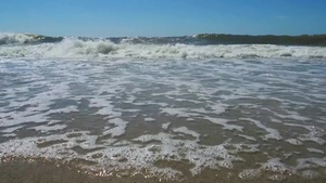 Beach Safety