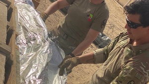 A Voice Above the Noise