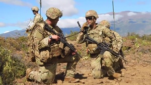 Field Artillery FDO
