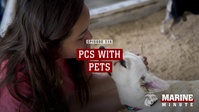 Marine Minute: PCS with Pets