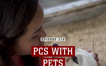 Marine Minute: PCS with Pets