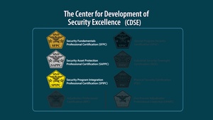 CDSE Certification Program PSA