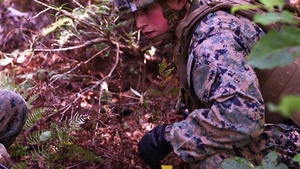 2nd Intelligence Battalion TRSS Patrol