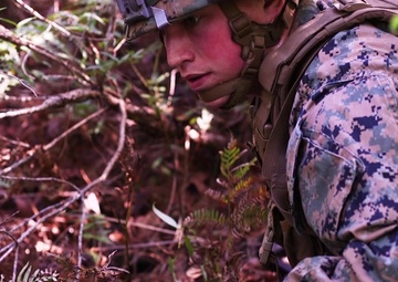 2nd Intelligence Battalion TRSS Patrol