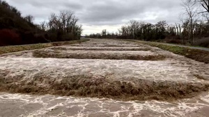 Walla Walla Flood Fight recognition
